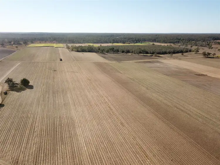 Main view of Homely rural property listing, 137 Hurleys Road, Bucca QLD 4670