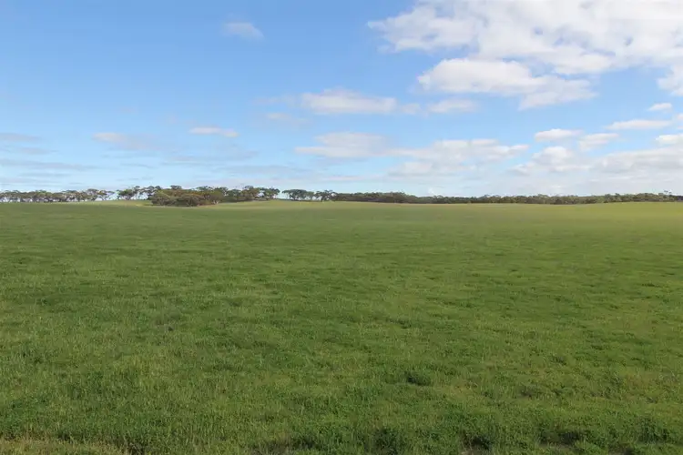 Second view of Homely rural property listing, " Pine Grove", Streaky Bay SA 5680