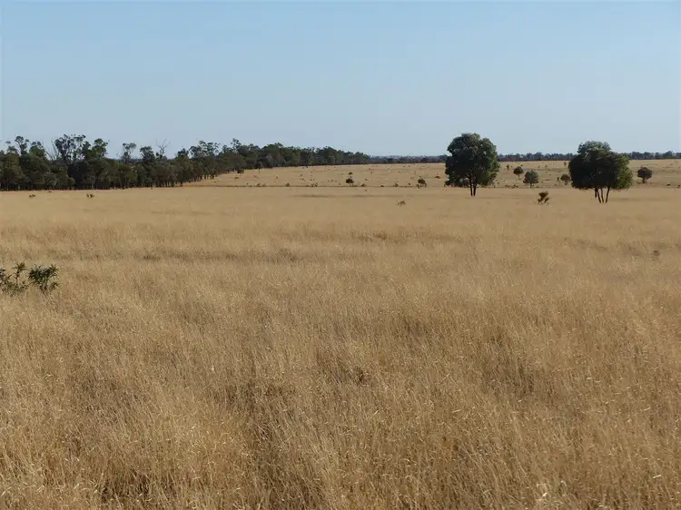 Third view of Homely rural property listing, 'Gladys Downs' 869 Old Tambo Road, Augathella QLD 4477