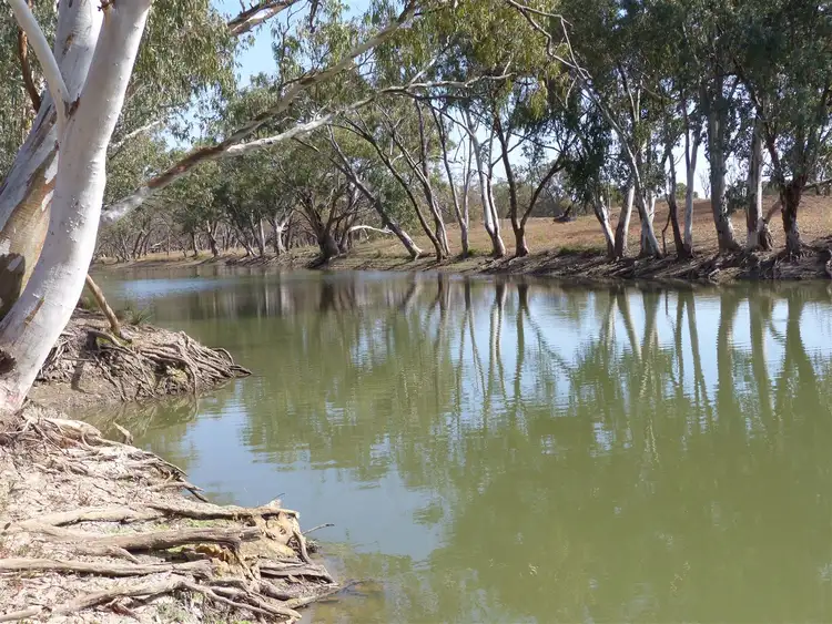 Fourth view of Homely rural property listing, 'Gladys Downs' 869 Old Tambo Road, Augathella QLD 4477