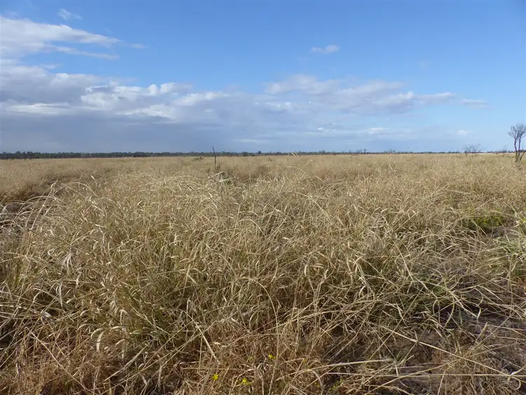 Fifth view of Homely rural property listing, 'Gladys Downs' 869 Old Tambo Road, Augathella QLD 4477