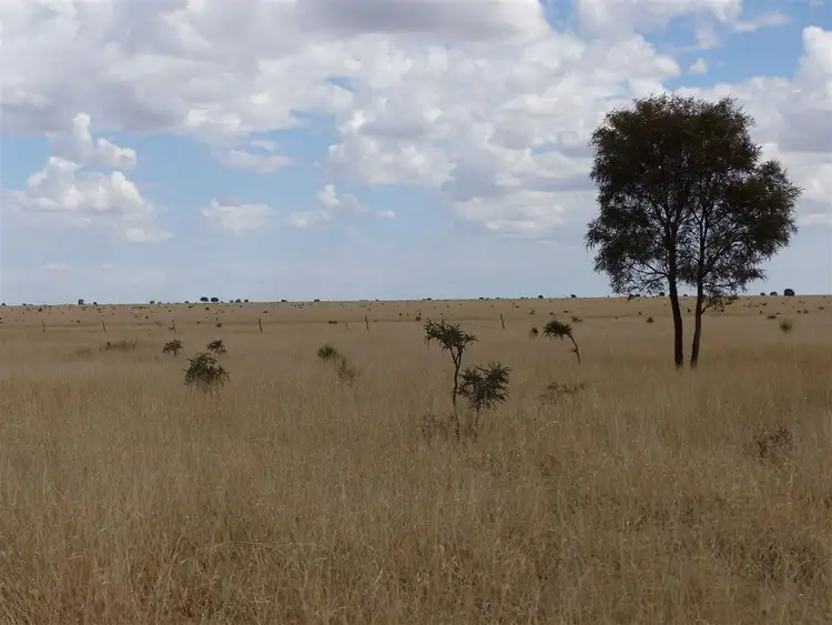 Seventh view of Homely rural property listing, 'Gladys Downs' 869 Old Tambo Road, Augathella QLD 4477