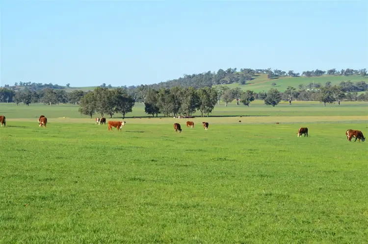 Second view of Homely rural property listing, Church's P/3 Cloughs Road, Yarragundry via, Wagga Wagga NSW 2650