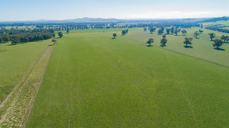 Third view of Homely rural property listing, Church's P/3 Cloughs Road, Yarragundry via, Wagga Wagga NSW 2650