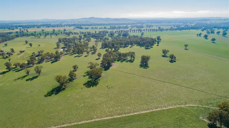 Fourth view of Homely rural property listing, Church's P/3 Cloughs Road, Yarragundry via, Wagga Wagga NSW 2650