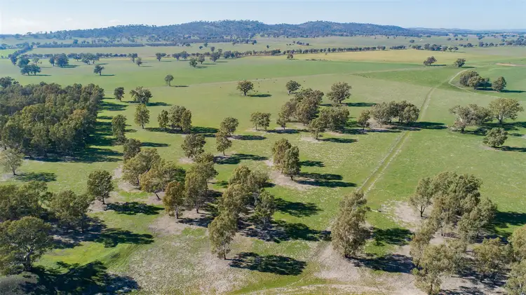 Seventh view of Homely rural property listing, Church's P/3 Cloughs Road, Yarragundry via, Wagga Wagga NSW 2650