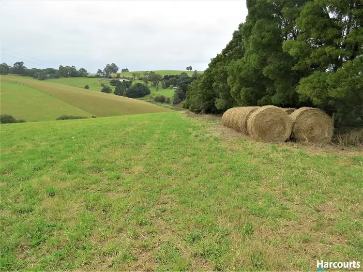 Third view of Homely rural property listing, Lot 1 2750 Meeniyan Mirboo North Road, Mirboo North VIC 3871