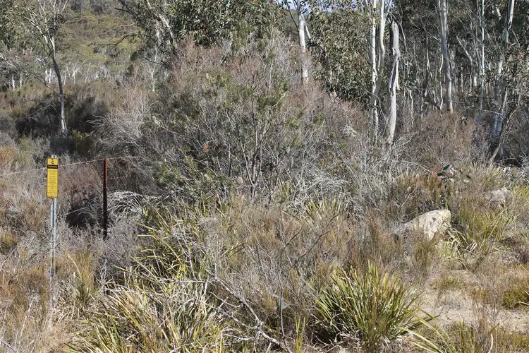 Second view of Homely rural property listing, 398 Wyanbene Road, WYANBENE, Braidwood NSW 2622