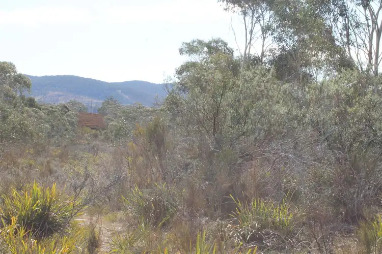 Third view of Homely rural property listing, 398 Wyanbene Road, WYANBENE, Braidwood NSW 2622