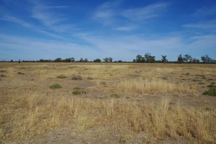 Second view of Homely rural property listing, 1119 Werah Creek Road, Wee Waa NSW 2388
