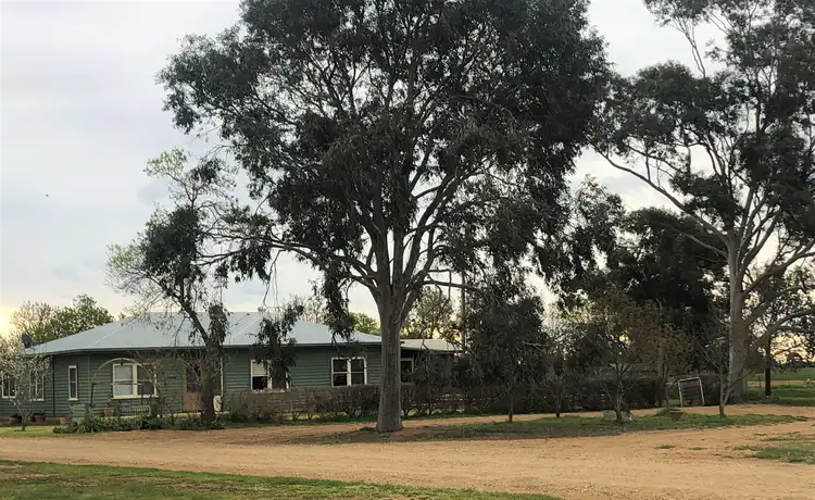 Third view of Homely rural property listing, "Shady Gums" Corner Flanagans Lane & Birganbigal Road, Deniliquin NSW 2710