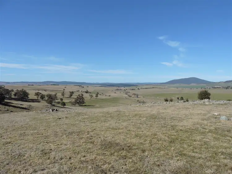 Main view of Homely rural property listing, 'ROADVIEW' Rocky Range Road EOI Closing 18th Oct 2019 @ 5pm, Delegate NSW 2633