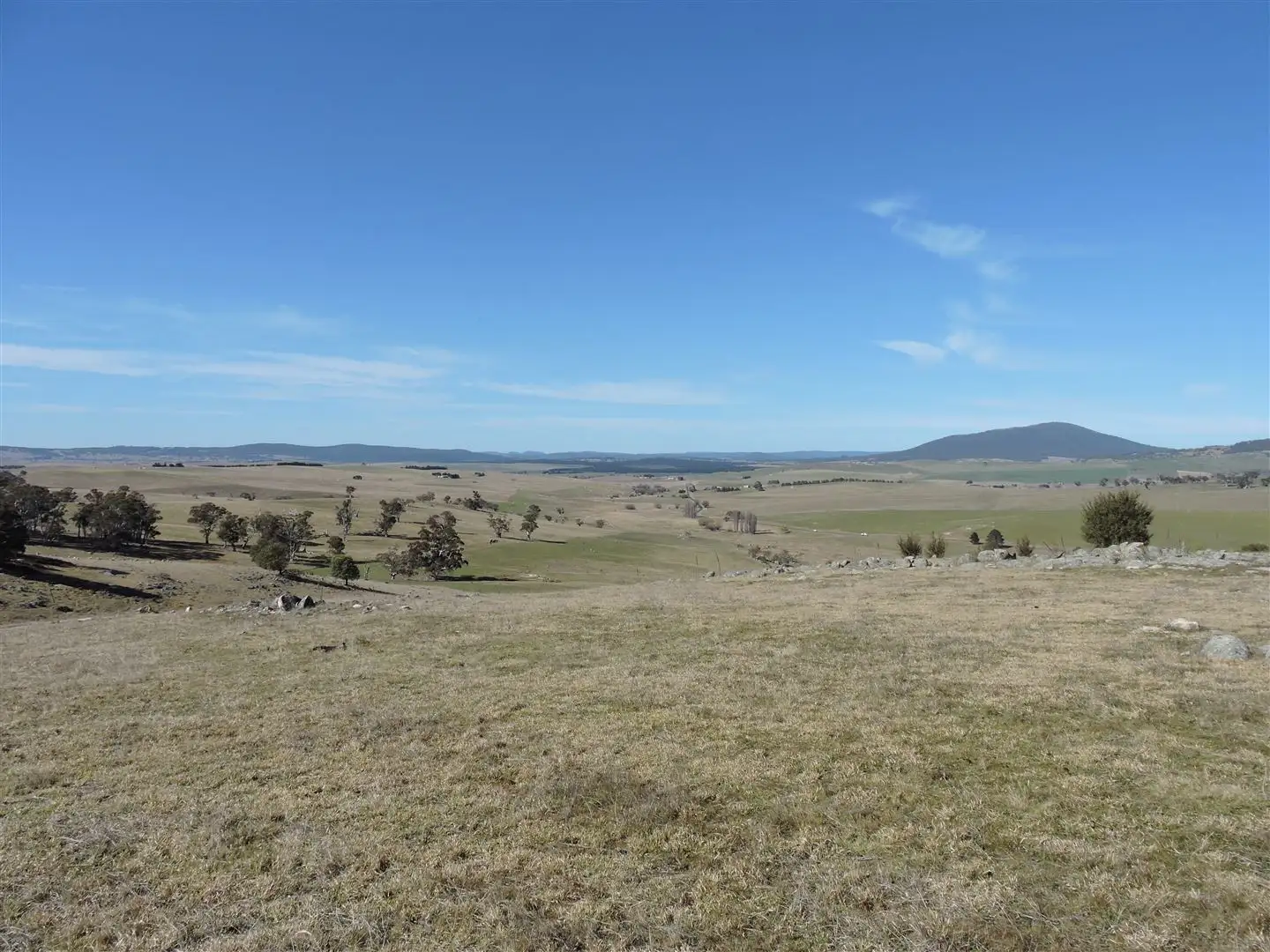 Main view of Homely rural property listing, 'ROADVIEW' Rocky Range Road   EOI Closing 18th Oct 2019 @ 5pm, Delegate NSW 2633