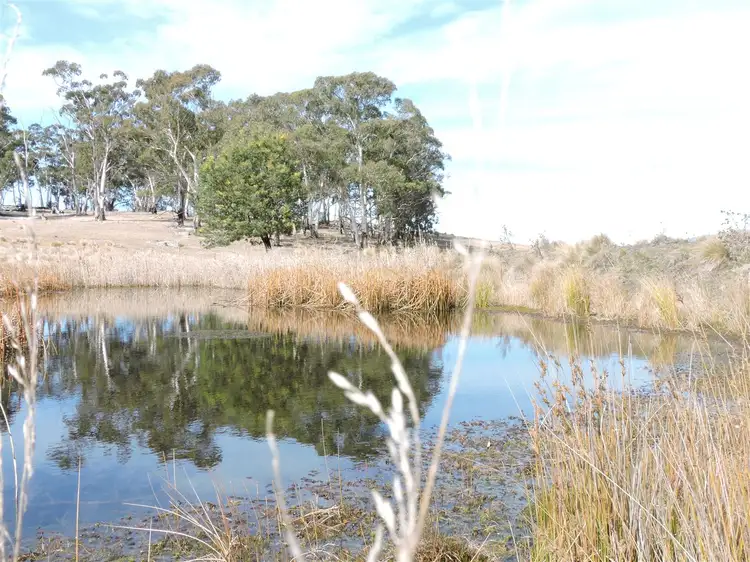 Third view of Homely rural property listing, 'ROADVIEW' Rocky Range Road EOI Closing 18th Oct 2019 @ 5pm, Delegate NSW 2633