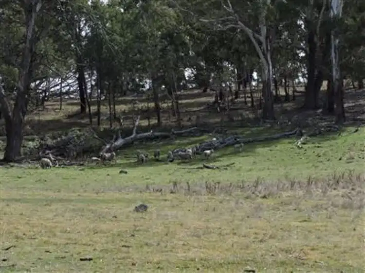 Fifth view of Homely rural property listing, 'ROADVIEW' Rocky Range Road EOI Closing 18th Oct 2019 @ 5pm, Delegate NSW 2633
