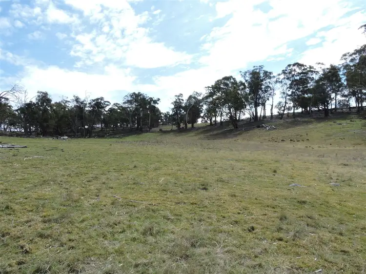Sixth view of Homely rural property listing, 'ROADVIEW' Rocky Range Road EOI Closing 18th Oct 2019 @ 5pm, Delegate NSW 2633