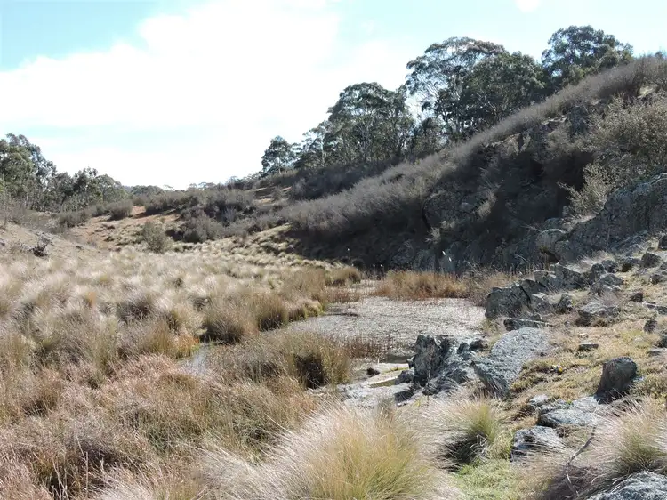 Seventh view of Homely rural property listing, 'ROADVIEW' Rocky Range Road EOI Closing 18th Oct 2019 @ 5pm, Delegate NSW 2633