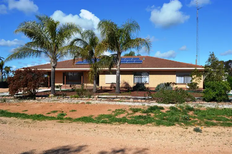 Main view of Homely rural property listing, 36 Lumeah, Snowtown SA 5520