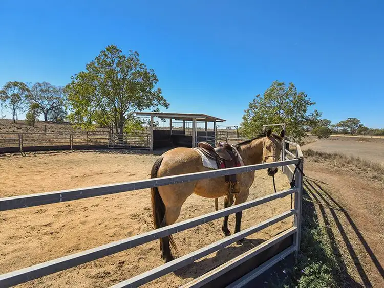 Third view of Homely rural property listing, 187 Biddeston Linthorpe Road, Biddeston QLD 4401