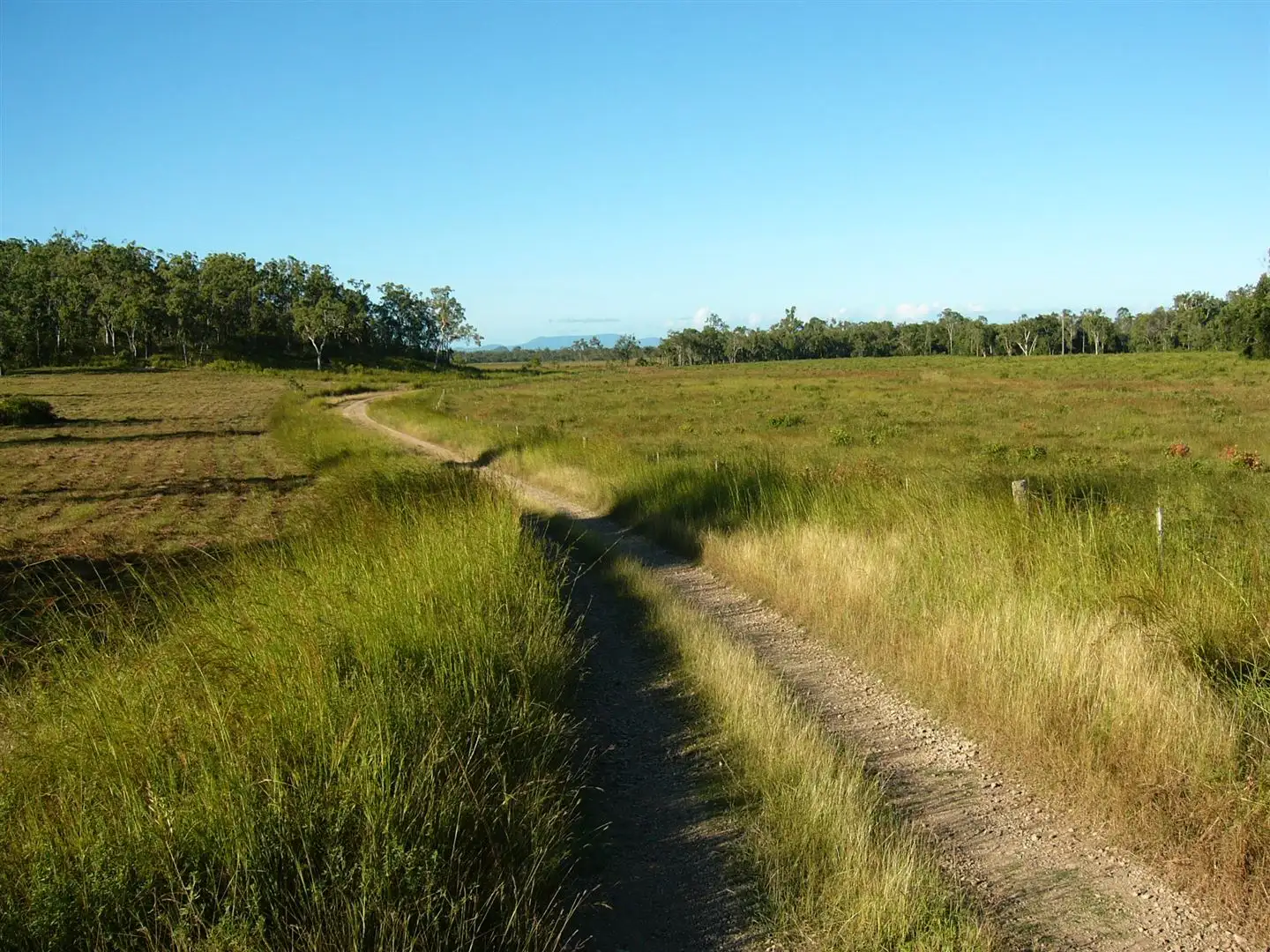 Main view of Homely rural property listing, Address available on request