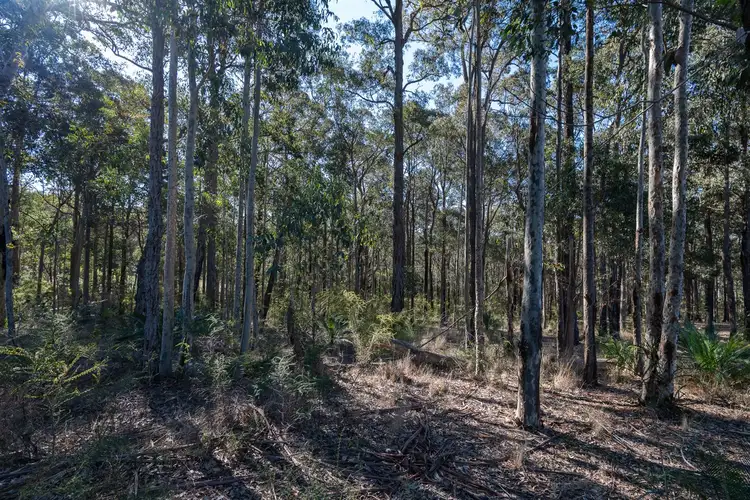 Fourth view of Homely land listing, 52 Waterson Drive, Surf Beach NSW 2536