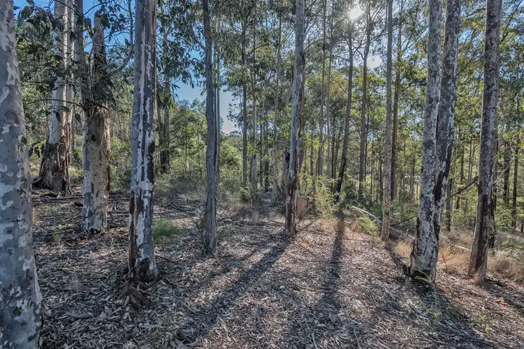 Fifth view of Homely land listing, 52 Waterson Drive, Surf Beach NSW 2536