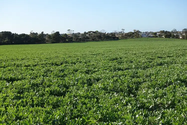 Second view of Homely rural property listing, S152 Bluff Road, Minlaton SA 5575