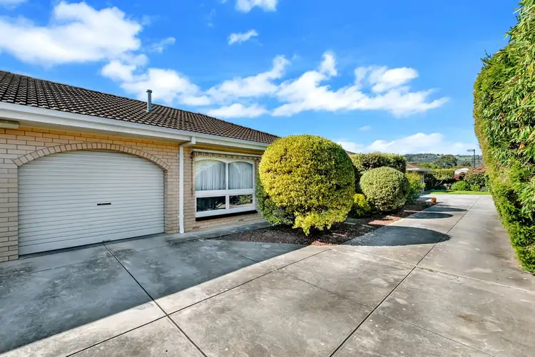 Main view of Homely unit listing, 3/10 Fisher Street, Tusmore SA 5065