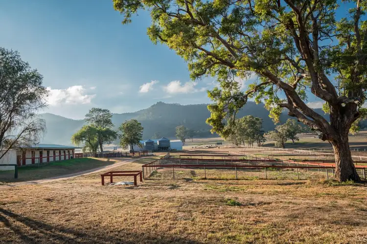 Third view of Homely rural property listing, 1949 Martindale Rd, Denman NSW 2328