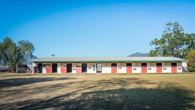 Fourth view of Homely rural property listing, 1949 Martindale Rd, Denman NSW 2328