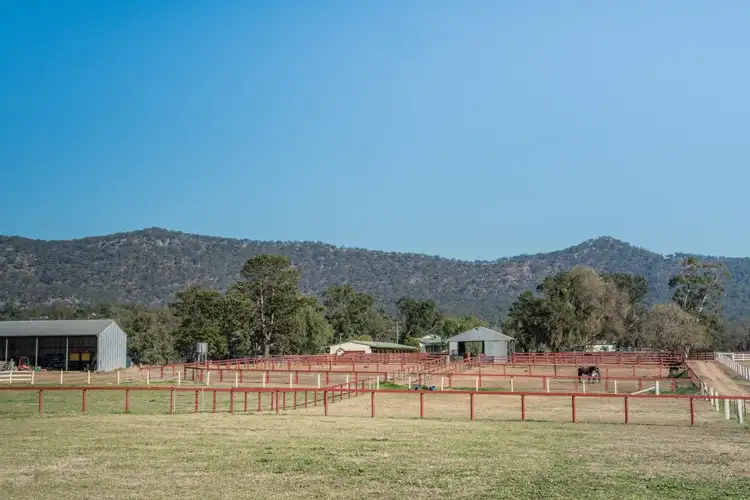 Sixth view of Homely rural property listing, 1949 Martindale Rd, Denman NSW 2328