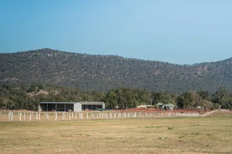 Seventh view of Homely rural property listing, 1949 Martindale Rd, Denman NSW 2328