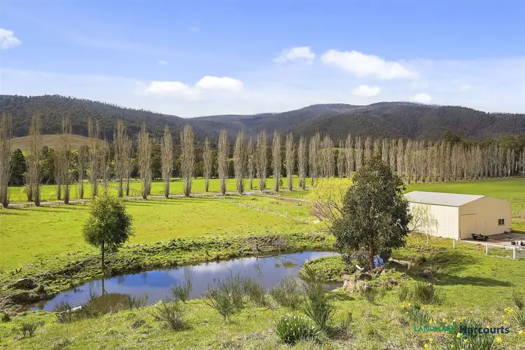 684 Buxton- Marysville Road, Buxton VIC 3711