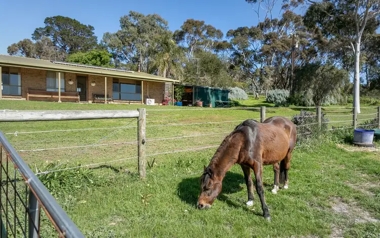 Fourth view of Homely rural property listing, 705 Inman Valley Road, Lower Inman Valley SA 5211