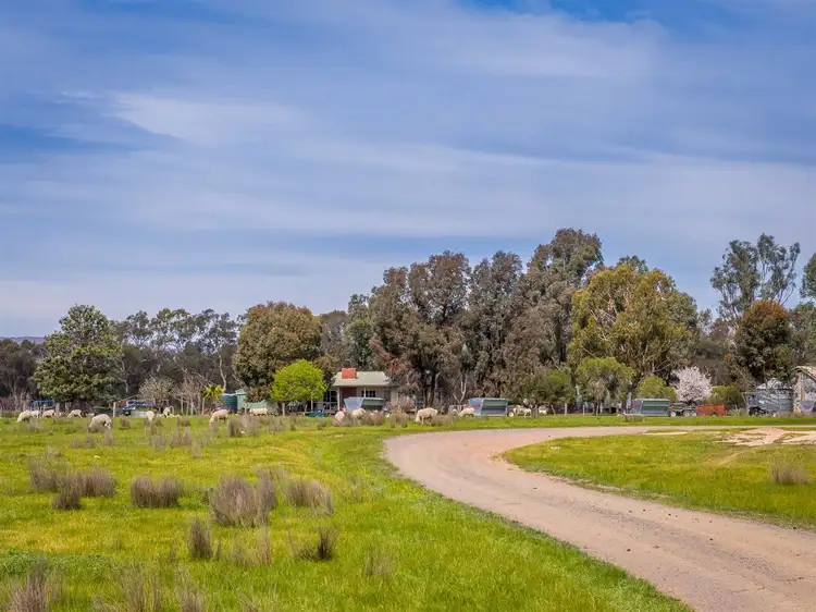 184 Dookie-Violet Town Road, Violet Town VIC 3669