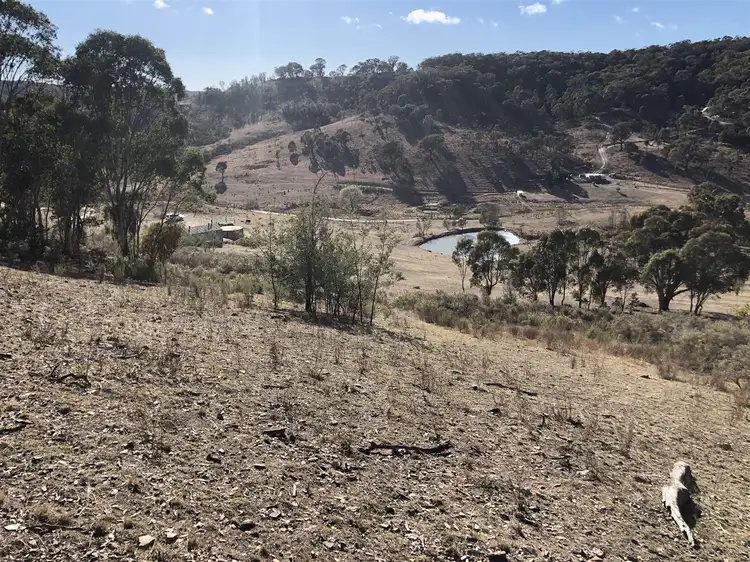 Third view of Homely rural property listing, 662 Green Gully Road, Mudgee NSW 2850