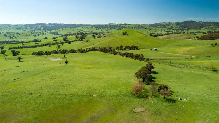 Clearview Westbrook Road, Oberne Creek via, Tarcutta NSW 2652