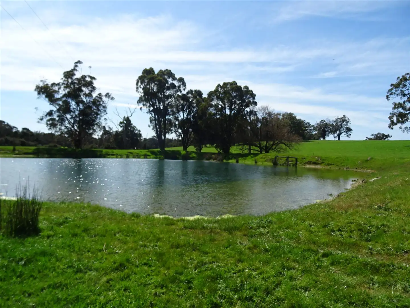 Main view of Homely rural property listing, 138 Donnelly Road (Yanmah), Manjimup WA 6258
