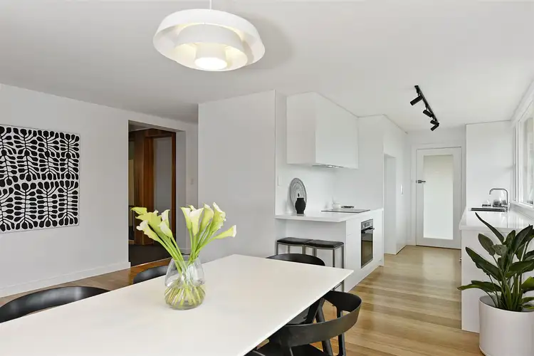 16 Manresa Court, Sandy Bay TAS 7005