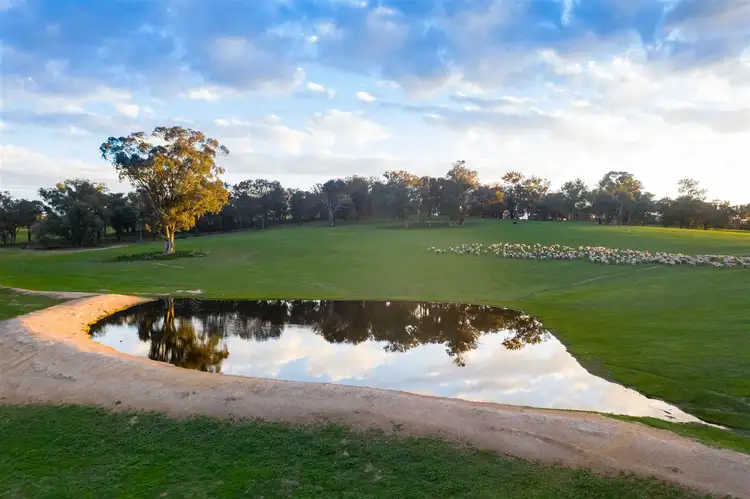 Sixth view of Homely rural property listing, 208 Vokins Creek Road, Little Billabong, Holbrook NSW 2644