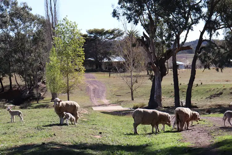 Main view of Homely rural property listing, Address available on request