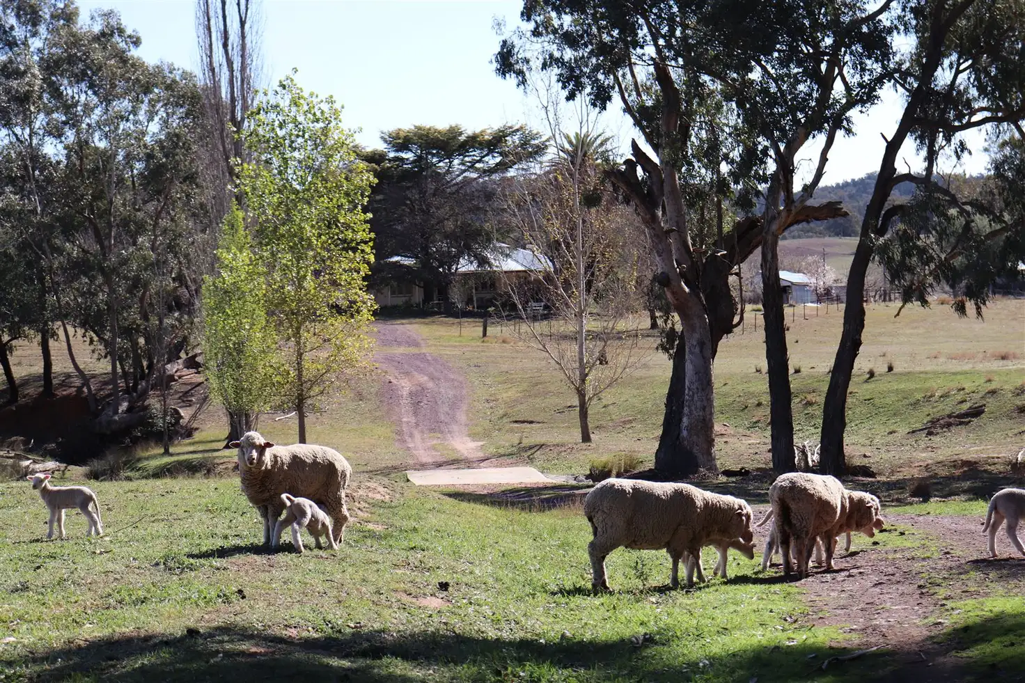 Main view of Homely rural property listing, Address available on request