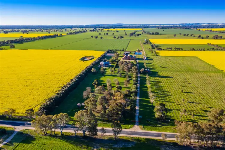 Sixth view of Homely rural property listing, ''Fairfield', 3210 Murray Valley Highway, Rutherglen VIC 3685