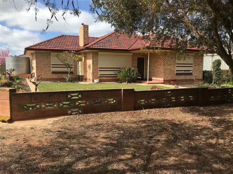 Main view of Homely house listing, 4 Venning Terrace, Pinnaroo SA 5304