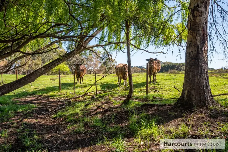 Fifth view of Homely rural property listing, 1077 Cleland Gully Road, Tooperang SA 5255