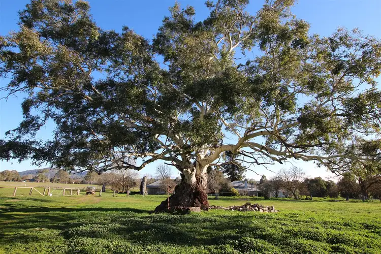Fifth view of Homely rural property listing, 175 Dead Horse Lane, Mansfield VIC 3722