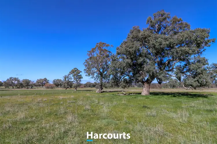 Sixth view of Homely rural property listing, 175 Dead Horse Lane, Mansfield VIC 3722