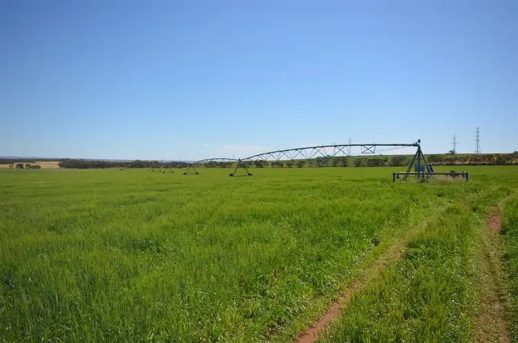 Fifth view of Homely rural property listing, 99 Otto Road, Mypolonga SA 5254