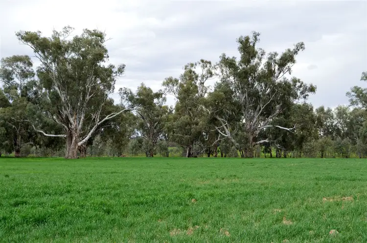 3931 Old Narrandera Road, Currawarna via, Wagga Wagga NSW 2650