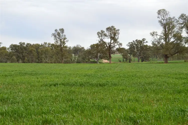 Second view of Homely rural property listing, 3931 Old Narrandera Road, Currawarna via, Wagga Wagga NSW 2650